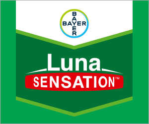 Bayer Luna